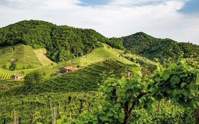 Valdobbiadene Geschmack Valdobbiadene Geschmack