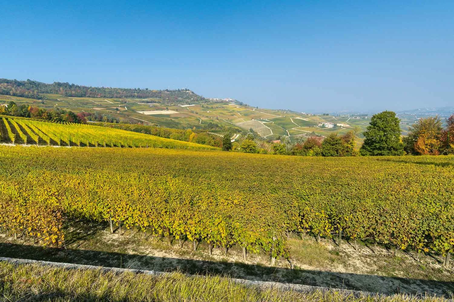 Barolo Weinstrasse