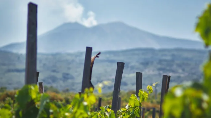 Etna Weinstrasse